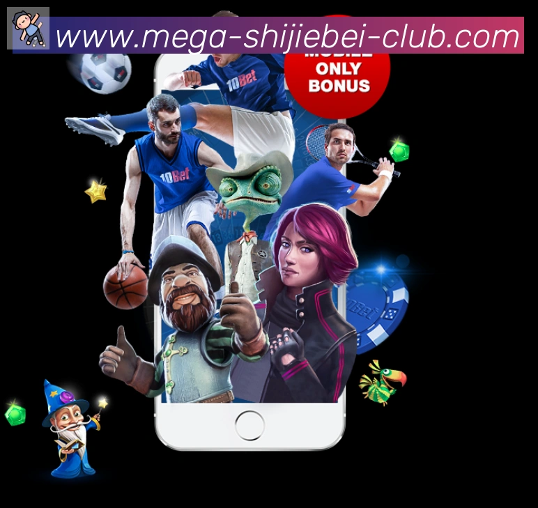 未来规划